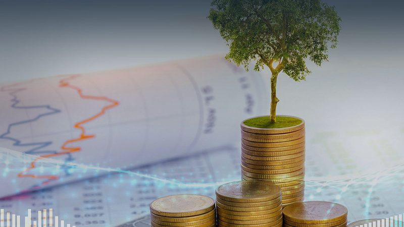 IPO法律合规要点解析：企业上市前必知